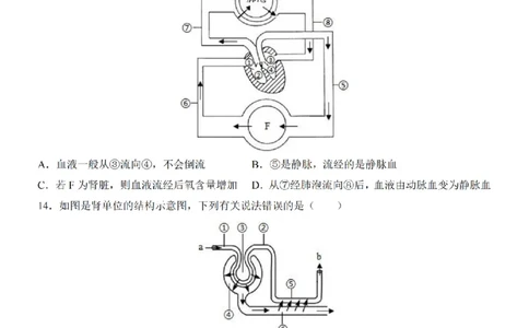 2025中考(会考)生物考前押题卷（广东卷）_幼小初教辅资料_中考_2025中考各科押题卷+模拟卷（含全国）