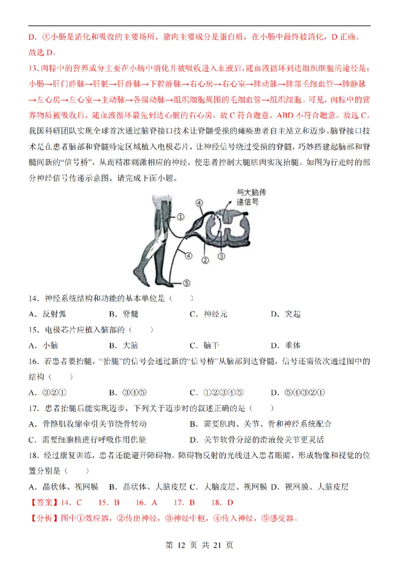 2025中考(会考)生物考前押题卷（深圳卷）_幼小初教辅资料_中考_2025中考各科押题卷+模拟卷（含全国）