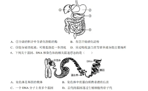 2025中考(会考)生物考前押题卷（北京卷）_幼小初教辅资料_中考_2025中考各科押题卷+模拟卷（含全国）