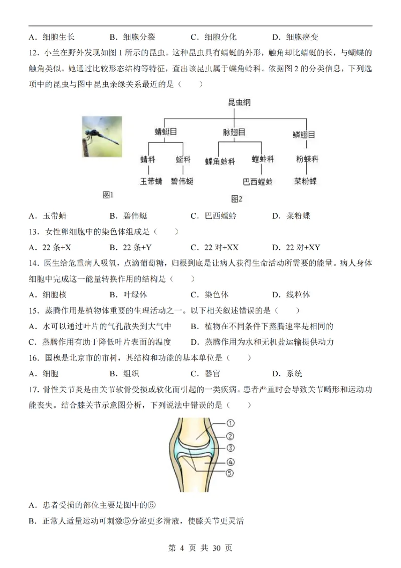 2025中考(会考)生物考前押题卷（北京卷）_幼小初教辅资料_中考_2025中考各科押题卷+模拟卷（含全国）