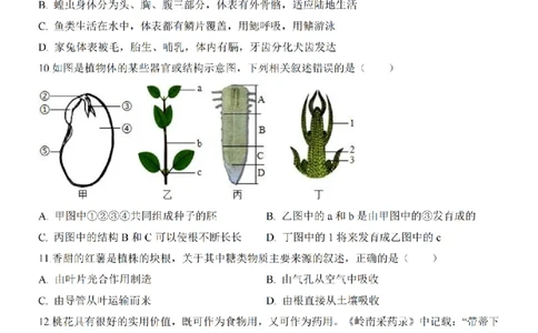 2025中考(会考)生物考前押题卷（江西卷）_幼小初教辅资料_中考_2025中考各科押题卷+模拟卷（含全国）