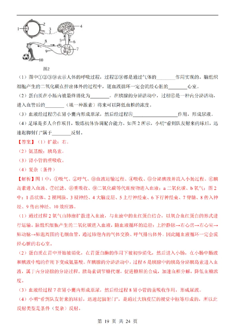 2025中考(会考)生物考前押题卷（江西卷）_幼小初教辅资料_中考_2025中考各科押题卷+模拟卷（含全国）