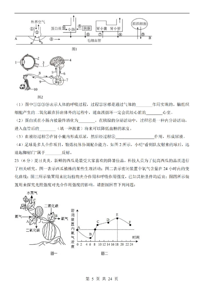 2025中考(会考)生物考前押题卷（江西卷）_幼小初教辅资料_中考_2025中考各科押题卷+模拟卷（含全国）