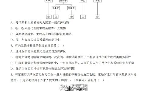 2025中考(会考)生物考前押题卷（河北卷）_幼小初教辅资料_中考_2025中考各科押题卷+模拟卷（含全国）