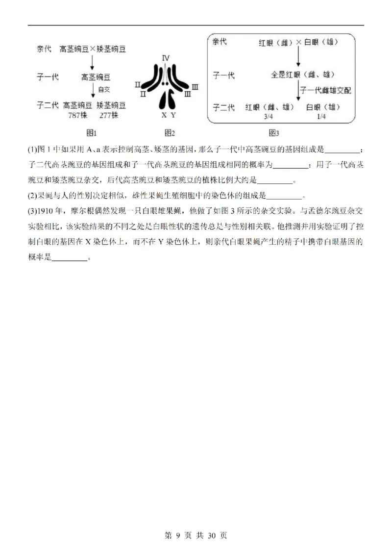 2025中考(会考)生物考前押题卷（湖南卷）_幼小初教辅资料_中考_2025中考各科押题卷+模拟卷（含全国）