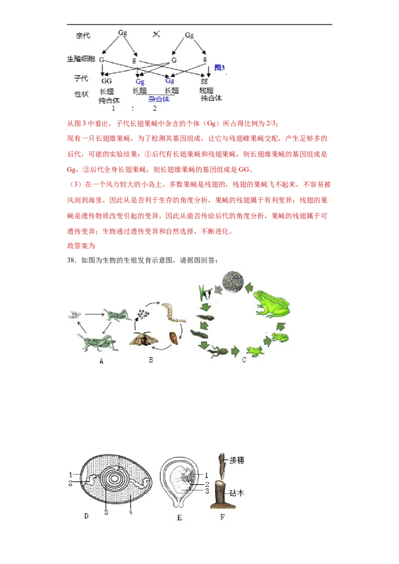 01-2022-2023学年八年级生物下学期期末综合测试卷（人教版）（解析版）_new_1、初中学习资料_4-6、生物_4-6-4、初二生物下册_2023更新人教版初中生物8下