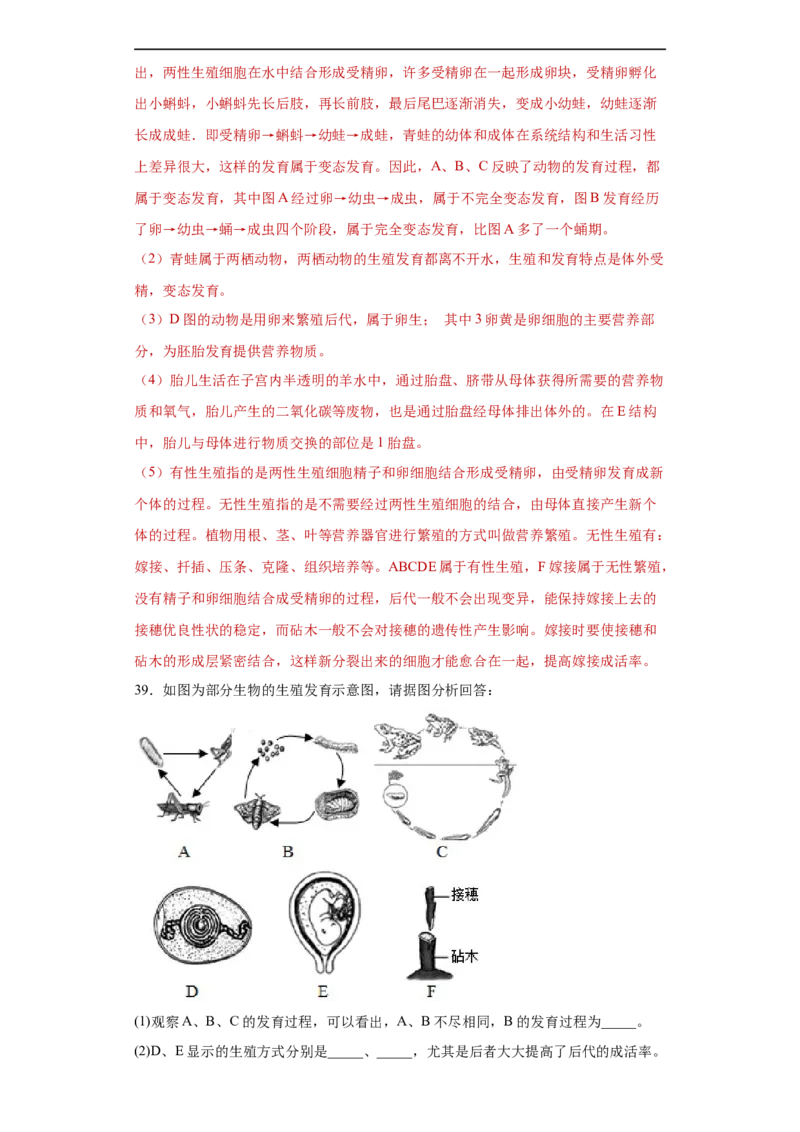 01-2022-2023学年八年级生物下学期期末综合测试卷（人教版）（解析版）_new_1、初中学习资料_4-6、生物_4-6-4、初二生物下册_2023更新人教版初中生物8下