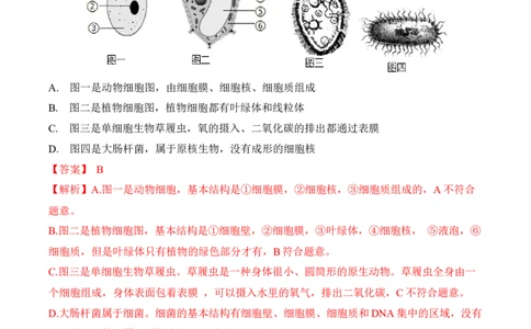 2.2.4单细胞生物（习题）-2022-2023学年七年级生物上册同步优质备课资源（人教版）（解析版）_1、初中学习资料_4-6、生物_4-6-1、初一生物上册_同步练习-138份_1、同步第1套新更新23份
