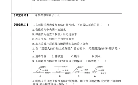 2.1.3动物细胞（学案）-2022-2023学年七年级生物上册同步优质备课资源（人教版）_1、初中学习资料_4-6、生物_4-6-1、初一生物上册_同步练习-138份_1、同步第1套新更新23份