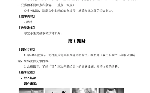 17猫（名师教案）_1、初中学习资料_2024秋改版_人教七上语文新版课件_9.详细教案_5.第五单元