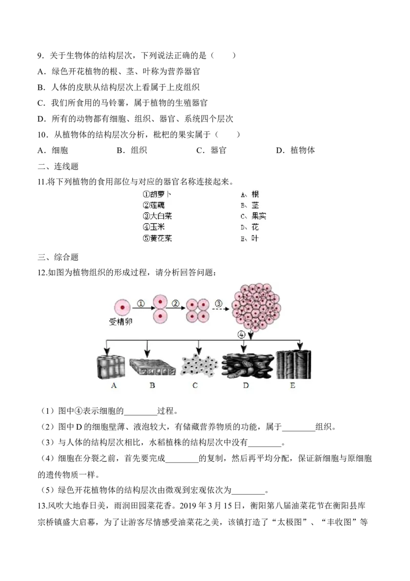 2.2.3植物体的结构层次（习题）-2022-2023学年七年级生物上册同步优质备课资源（人教版）（原卷版）_1、初中学习资料_4-6、生物_4-6-1、初一生物上册_同步练习-138份
