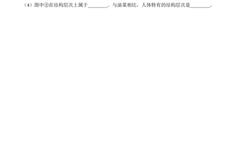 2.2.3植物体的结构层次（习题）-2022-2023学年七年级生物上册同步优质备课资源（人教版）（原卷版）_1、初中学习资料_4-6、生物_4-6-1、初一生物上册_同步练习-138份