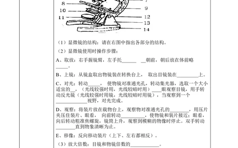 2.1.1练习使用显微镜（学案）-2022-2023学年七年级生物上册同步优质备课资源（人教版）_1、初中学习资料_4-6、生物_4-6-1、初一生物上册_同步练习-138份_1、同步第1套新更新23份