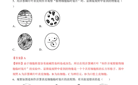2.1.2植物细胞（习题）-2022-2023学年七年级生物上册同步优质备课资源（人教版）（解析版）_1、初中学习资料_4-6、生物_4-6-1、初一生物上册_同步练习-138份_1、同步第1套新更新23份