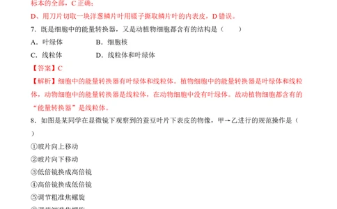 2.1.2植物细胞（习题）-2022-2023学年七年级生物上册同步优质备课资源（人教版）（解析版）_1、初中学习资料_4-6、生物_4-6-1、初一生物上册_同步练习-138份_1、同步第1套新更新23份