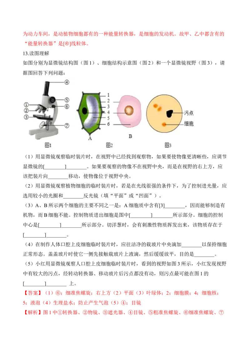 2.1.3动物细胞（习题）-2022-2023学年七年级生物上册同步优质备课资源（人教版）（解析版）_1、初中学习资料_4-6、生物_4-6-1、初一生物上册_同步练习-138份_1、同步第1套新更新23份