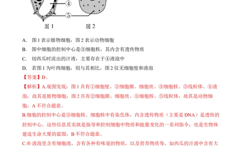2.1.3动物细胞（习题）-2022-2023学年七年级生物上册同步优质备课资源（人教版）（解析版）_1、初中学习资料_4-6、生物_4-6-1、初一生物上册_同步练习-138份_1、同步第1套新更新23份