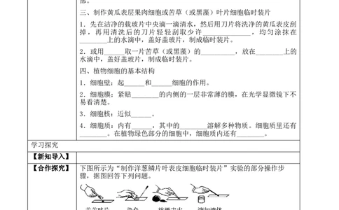 2.1.2植物细胞（学案）-2022-2023学年七年级生物上册同步优质备课资源（人教版）_1、初中学习资料_4-6、生物_4-6-1、初一生物上册_同步练习-138份_1、同步第1套新更新23份