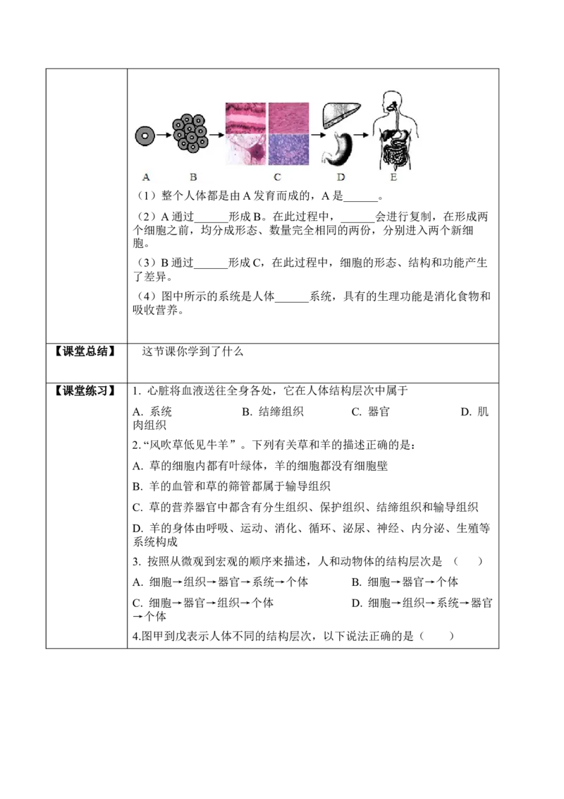 2.2.2动物体的结构层次（学案）-2022-2023学年七年级生物上册同步优质备课资源（人教版）_1、初中学习资料_4-6、生物_4-6-1、初一生物上册_同步练习-138份_1、同步第1套新更新23份