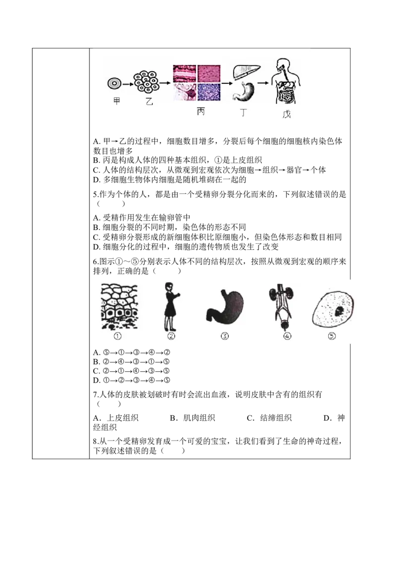 2.2.2动物体的结构层次（学案）-2022-2023学年七年级生物上册同步优质备课资源（人教版）_1、初中学习资料_4-6、生物_4-6-1、初一生物上册_同步练习-138份_1、同步第1套新更新23份