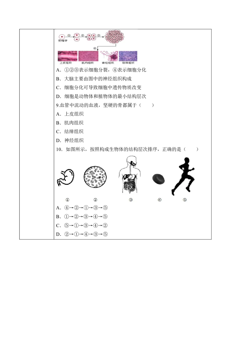 2.2.2动物体的结构层次（学案）-2022-2023学年七年级生物上册同步优质备课资源（人教版）_1、初中学习资料_4-6、生物_4-6-1、初一生物上册_同步练习-138份_1、同步第1套新更新23份