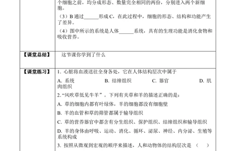 2.2.2动物体的结构层次（学案）-2022-2023学年七年级生物上册同步优质备课资源（人教版）_1、初中学习资料_4-6、生物_4-6-1、初一生物上册_同步练习-138份_1、同步第1套新更新23份