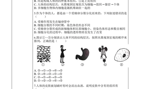 2.2.2动物体的结构层次（学案）-2022-2023学年七年级生物上册同步优质备课资源（人教版）_1、初中学习资料_4-6、生物_4-6-1、初一生物上册_同步练习-138份_1、同步第1套新更新23份