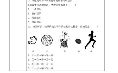 2.2.2动物体的结构层次（学案）-2022-2023学年七年级生物上册同步优质备课资源（人教版）_1、初中学习资料_4-6、生物_4-6-1、初一生物上册_同步练习-138份_1、同步第1套新更新23份