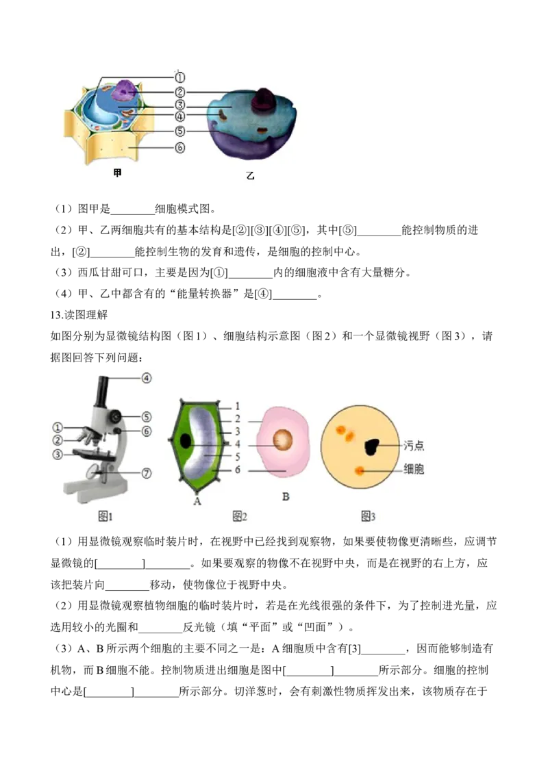 2.1.3动物细胞（习题）-2022-2023学年七年级生物上册同步优质备课资源（人教版）（原卷版）_1、初中学习资料_4-6、生物_4-6-1、初一生物上册_同步练习-138份_1、同步第1套新更新23份