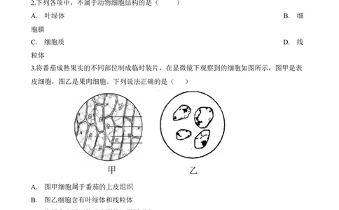 2.1.3动物细胞（习题）-2022-2023学年七年级生物上册同步优质备课资源（人教版）（原卷版）_1、初中学习资料_4-6、生物_4-6-1、初一生物上册_同步练习-138份_1、同步第1套新更新23份