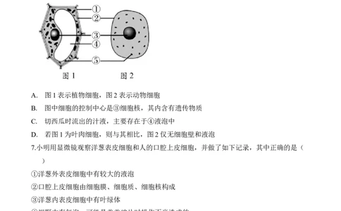 2.1.3动物细胞（习题）-2022-2023学年七年级生物上册同步优质备课资源（人教版）（原卷版）_1、初中学习资料_4-6、生物_4-6-1、初一生物上册_同步练习-138份_1、同步第1套新更新23份