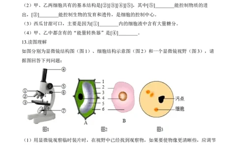 2.1.3动物细胞（习题）-2022-2023学年七年级生物上册同步优质备课资源（人教版）（原卷版）_1、初中学习资料_4-6、生物_4-6-1、初一生物上册_同步练习-138份_1、同步第1套新更新23份