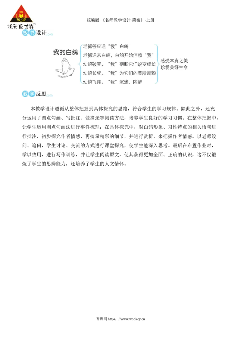18我的白鸽（名师教学设计&middot;简案）_1、初中学习资料_2024秋改版_人教七上语文新版课件_10.简洁教案_5.第五单元