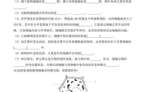 2.1.4细胞的生活（习题）-2022-2023学年七年级生物上册同步优质备课资源（人教版）（原卷版）_1、初中学习资料_4-6、生物_4-6-1、初一生物上册_同步练习-138份_1、同步第1套新更新23份