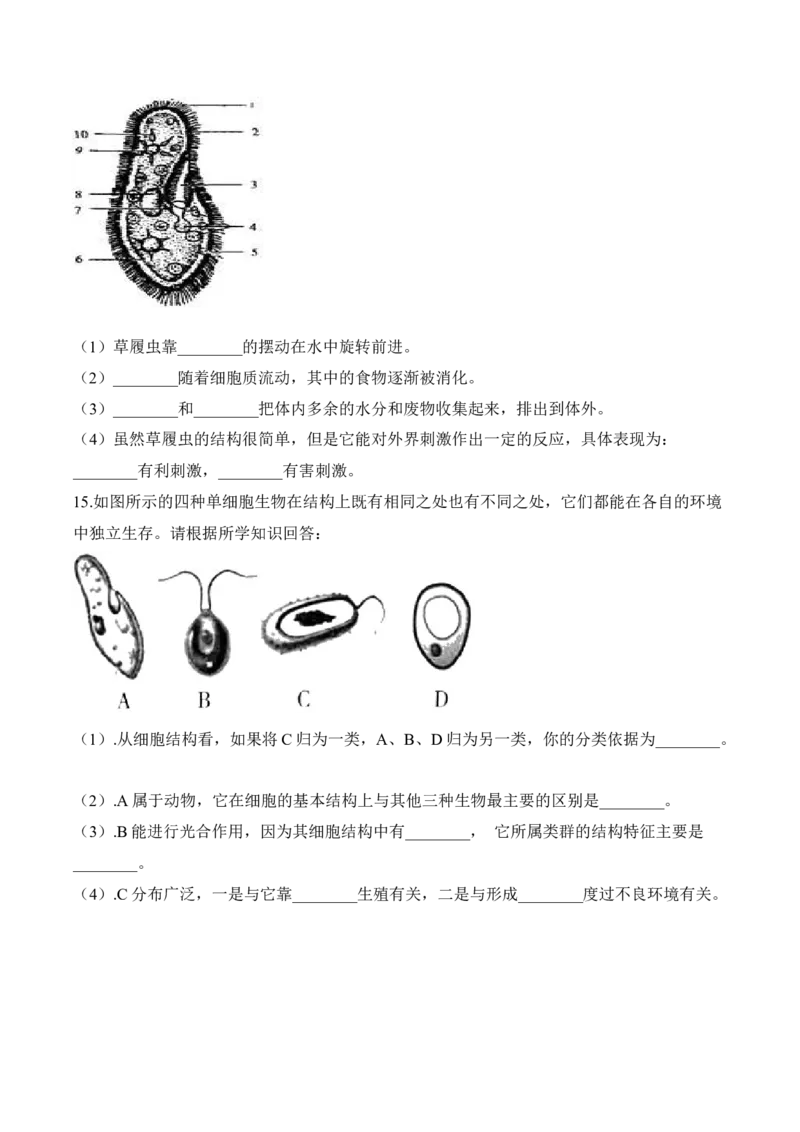 2.2.4单细胞生物（习题）-2022-2023学年七年级生物上册同步优质备课资源（人教版）（原卷版）_1、初中学习资料_4-6、生物_4-6-1、初一生物上册_同步练习-138份_1、同步第1套新更新23份
