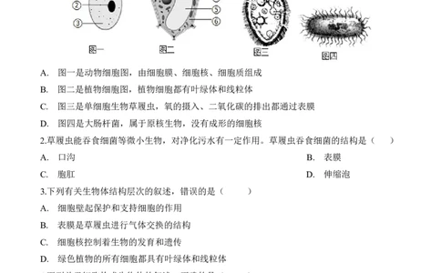 2.2.4单细胞生物（习题）-2022-2023学年七年级生物上册同步优质备课资源（人教版）（原卷版）_1、初中学习资料_4-6、生物_4-6-1、初一生物上册_同步练习-138份_1、同步第1套新更新23份