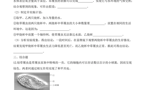 2.2.4单细胞生物（习题）-2022-2023学年七年级生物上册同步优质备课资源（人教版）（原卷版）_1、初中学习资料_4-6、生物_4-6-1、初一生物上册_同步练习-138份_1、同步第1套新更新23份