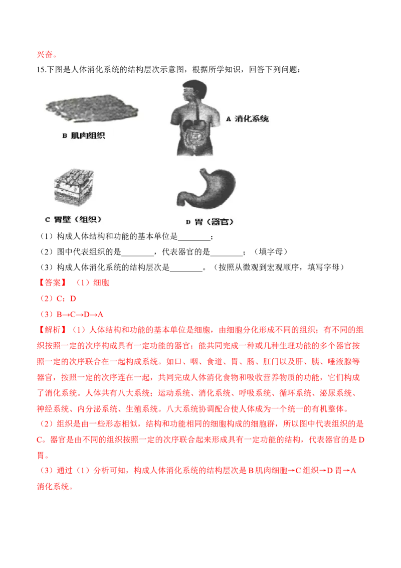 2.2.2动物体的结构层次（习题）-2022-2023学年七年级生物上册同步优质备课资源（人教版）（解析版）_1、初中学习资料_4-6、生物_4-6-1、初一生物上册_同步练习-138份