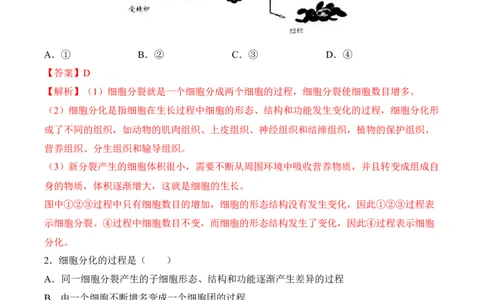 2.2.2动物体的结构层次（习题）-2022-2023学年七年级生物上册同步优质备课资源（人教版）（解析版）_1、初中学习资料_4-6、生物_4-6-1、初一生物上册_同步练习-138份