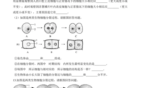 2.2.1细胞通过分裂产生新细胞（习题）-2022-2023学年七年级生物上册同步优质备课资源（人教版）（原卷版）_1、初中学习资料_4-6、生物_4-6-1、初一生物上册_同步练习-138份