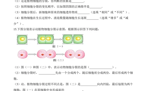 2.2.1细胞通过分裂产生新细胞（习题）-2022-2023学年七年级生物上册同步优质备课资源（人教版）（原卷版）_1、初中学习资料_4-6、生物_4-6-1、初一生物上册_同步练习-138份