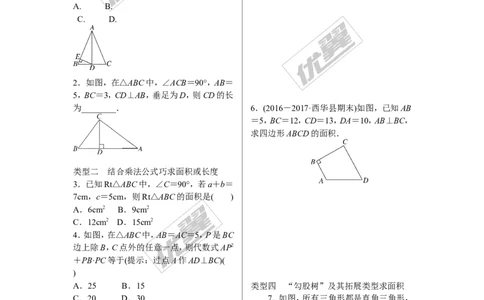 1.解题技巧专题：勾股定理与面积问题_1、初中学习资料_4-2、数学_北师大版_北师大版初中数学8上_2022秋八数上(BS)--各阶段精品试题_精品专题