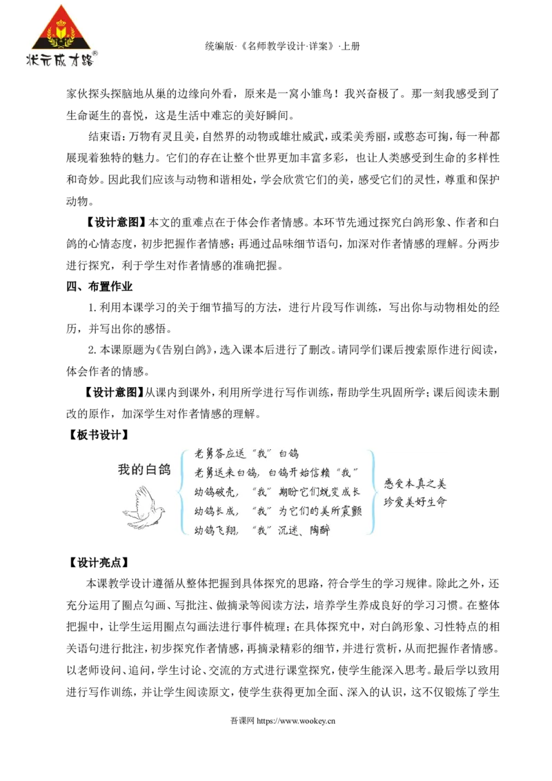 18我的白鸽（名师教案）_1、初中学习资料_2024秋改版_人教七上语文新版课件_9.详细教案_5.第五单元