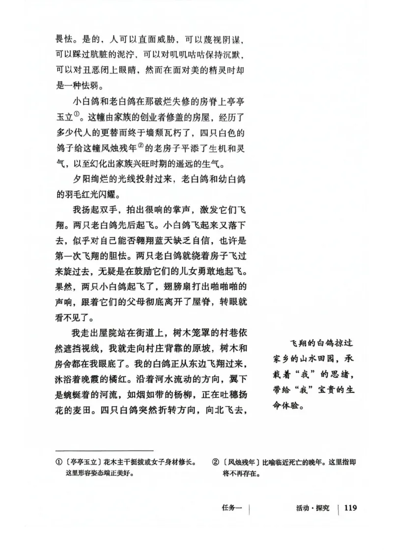 1_2024秋语文七年级上册教材(1)_1、初中学习资料_2024秋改版_人教七上语文新版课件_七上语文新版PDF