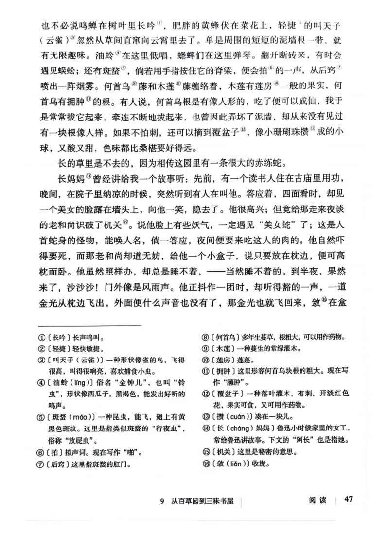 1_2024秋语文七年级上册教材(1)_1、初中学习资料_2024秋改版_人教七上语文新版课件_七上语文新版PDF