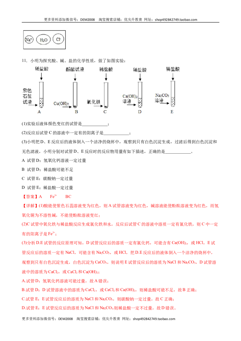 11.1生活中常见的盐（人教版）（解析版）_1、初中学习资料_4-5、化学_4-5-5、初三化学下册_人教化学九年级下课时练习（072份）_九年级化学下册同步课时轻松过（人教版）