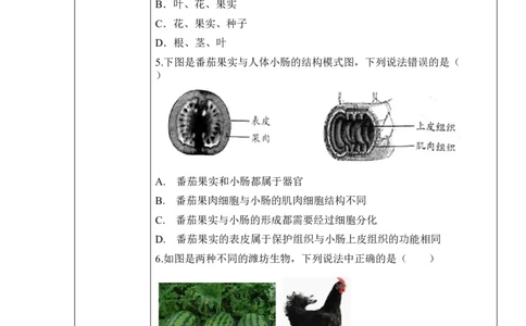 2.2.3植物体的结构层次（学案）-2022-2023学年七年级生物上册同步优质备课资源（人教版）_1、初中学习资料_4-6、生物_4-6-1、初一生物上册_同步练习-138份_1、同步第1套新更新23份