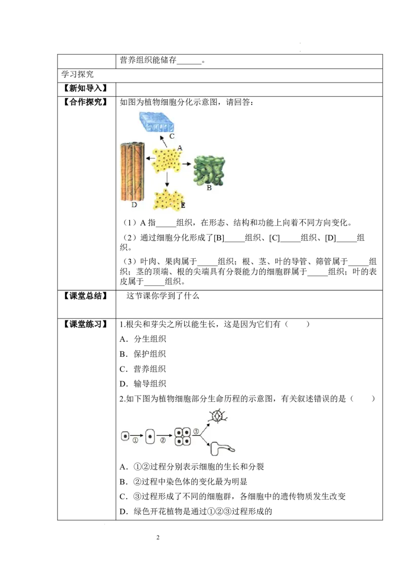 2.2.3植物体的结构层次（学案）-2022-2023学年七年级生物上册同步优质备课资源（人教版）_1、初中学习资料_4-6、生物_4-6-1、初一生物上册_同步练习-138份_1、同步第1套新更新23份
