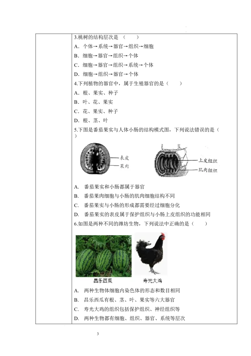 2.2.3植物体的结构层次（学案）-2022-2023学年七年级生物上册同步优质备课资源（人教版）_1、初中学习资料_4-6、生物_4-6-1、初一生物上册_同步练习-138份_1、同步第1套新更新23份