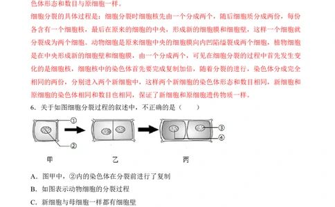 2.2.1细胞通过分裂产生新细胞（习题）-2022-2023学年七年级生物上册同步优质备课资源（人教版）（解析版）_1、初中学习资料_4-6、生物_4-6-1、初一生物上册_同步练习-138份